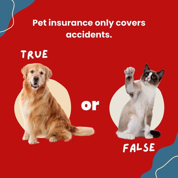 Images Michelle Twitchell - State Farm Insurance Agent