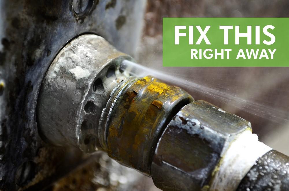 A leaky pipe left unattended will eventually cause a mold problem in your home. Have leaks and drips fixed right away to avoid bigger problems in the future.