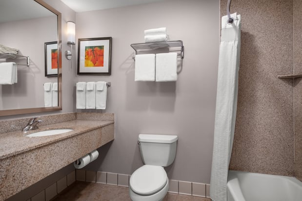 Images Holiday Inn Stevens Point - Convention Ctr by IHG