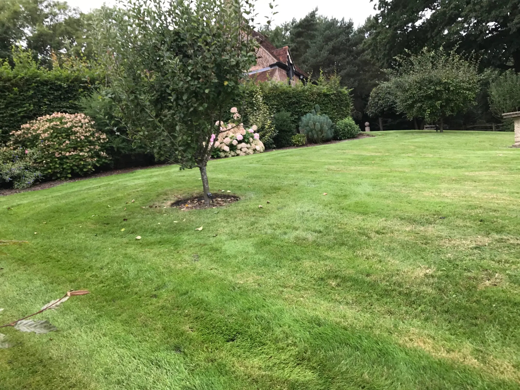 Images Prostyle Gardening & Home Services