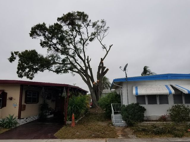 Evergreen Tree Service Inc in Largo, FL (727) 9453414 Evergreen Tree Service Inc in Largo, FL (727) 9453414