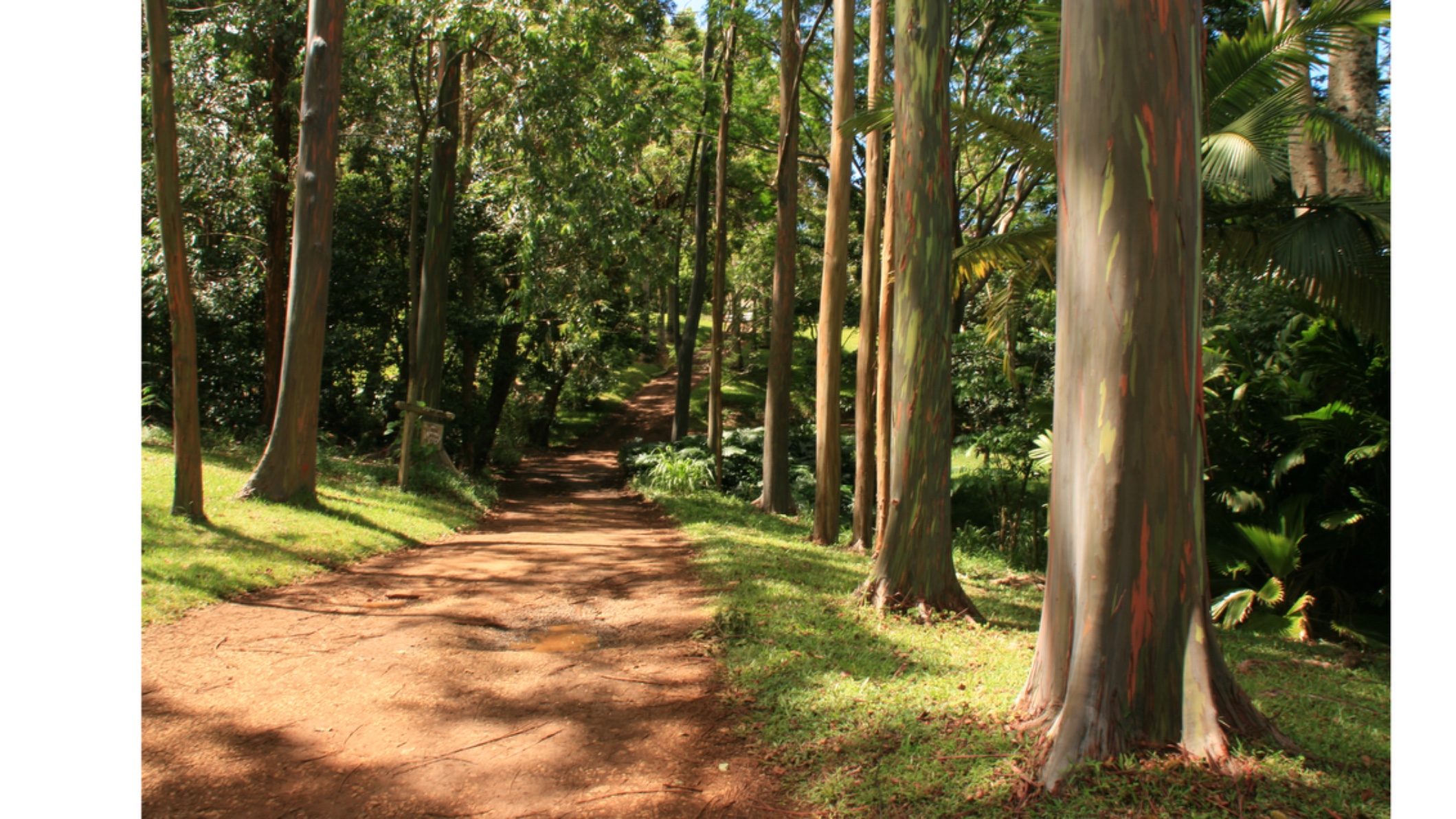 Körperpsychotherapie und psychologische Körperarbeit Birgit Prinz, Mühltal, Deutschland in Mühltal