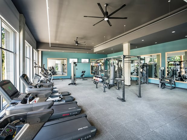 Images Modera Shoreline