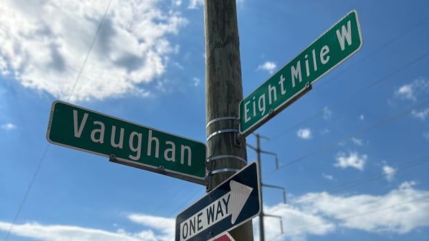 Images Remedy 313 Detroit