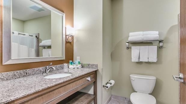 Images Holiday Inn Express & Suites Lubbock Southwest - Wolfforth, an IHG Hotel