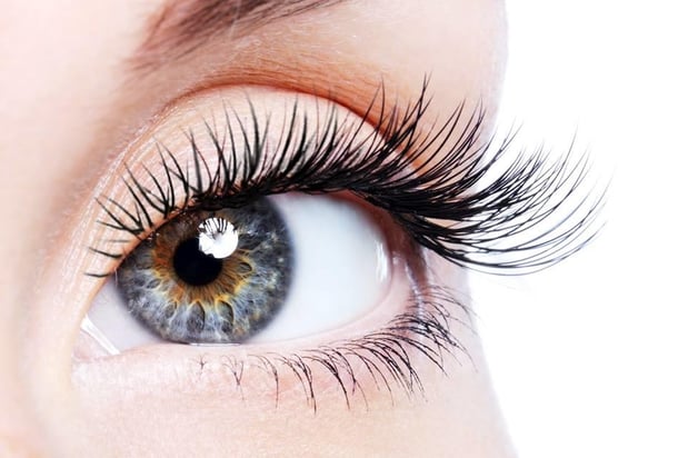 Images Primp Lash & Beauty