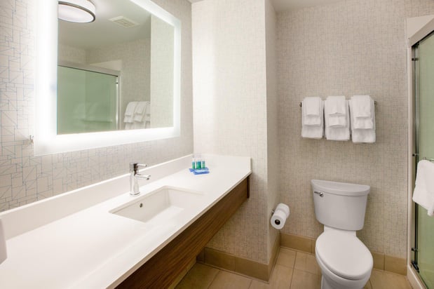 Images Holiday Inn Express & Suites Houston - Downtown North by IHG