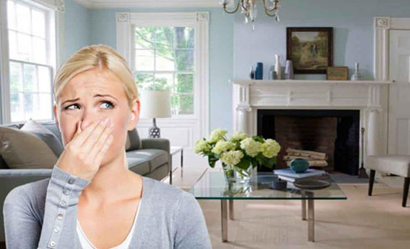Images Voda Cleaning & Restoration