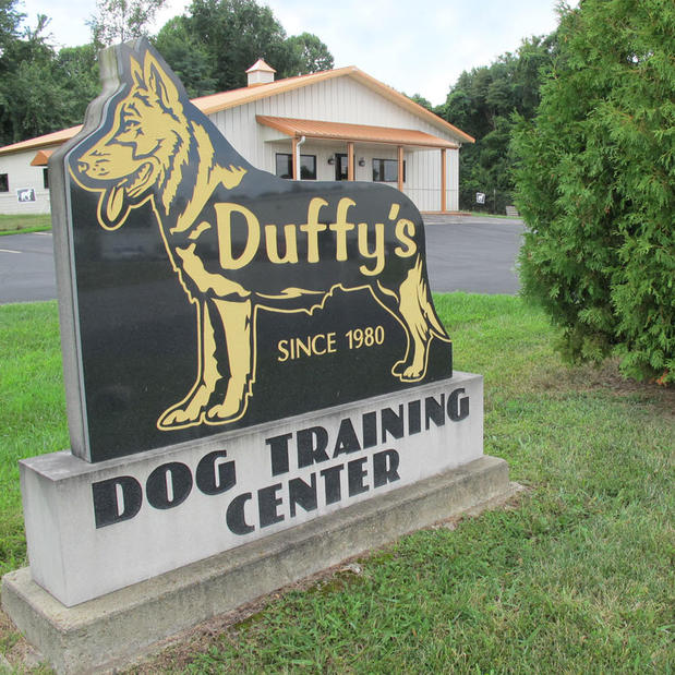 Images Duffy's Dog Training Center