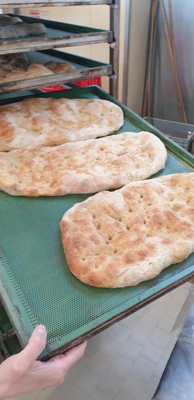 Images Spiga Dorata Srl