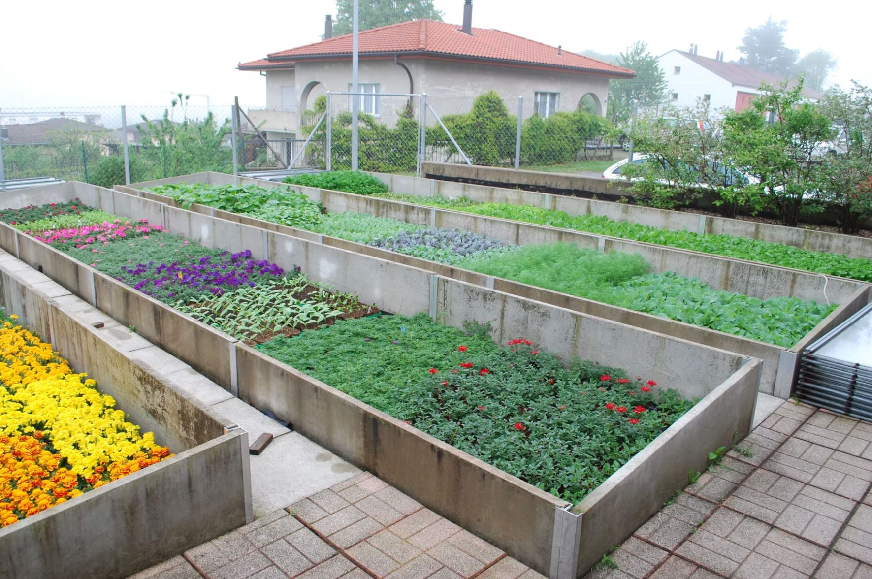 Bilder Bullo Luca Fiori