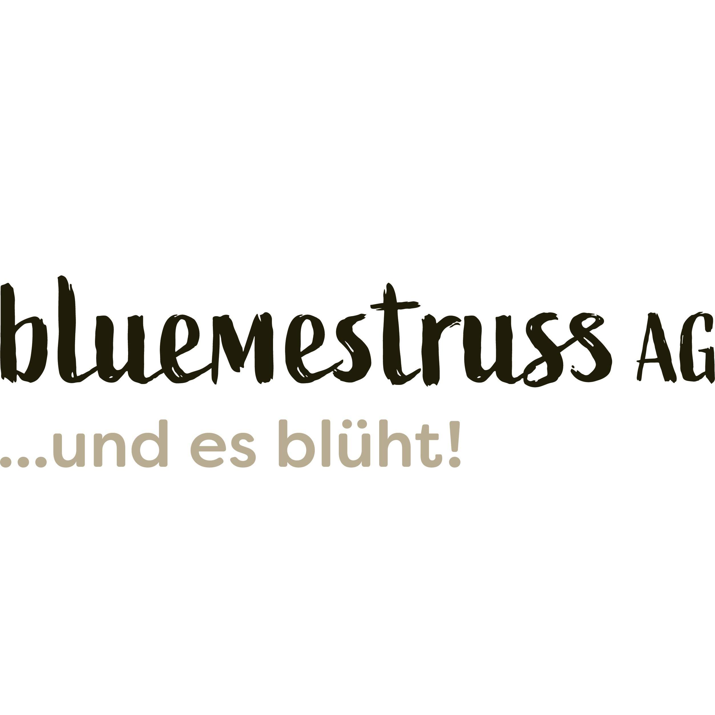 bluemestrussAG Wanninger Logo
