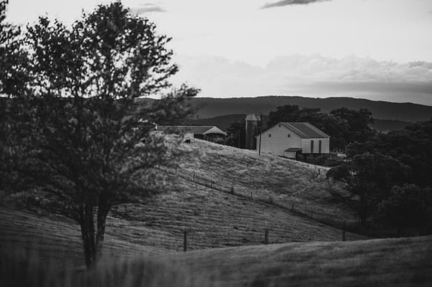 Images On Sunny Slope Farm