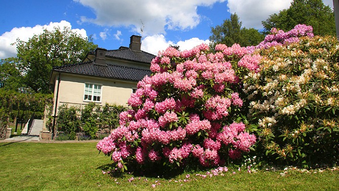 Images Lilleskog Själavårdsinstitut Stiftsgården