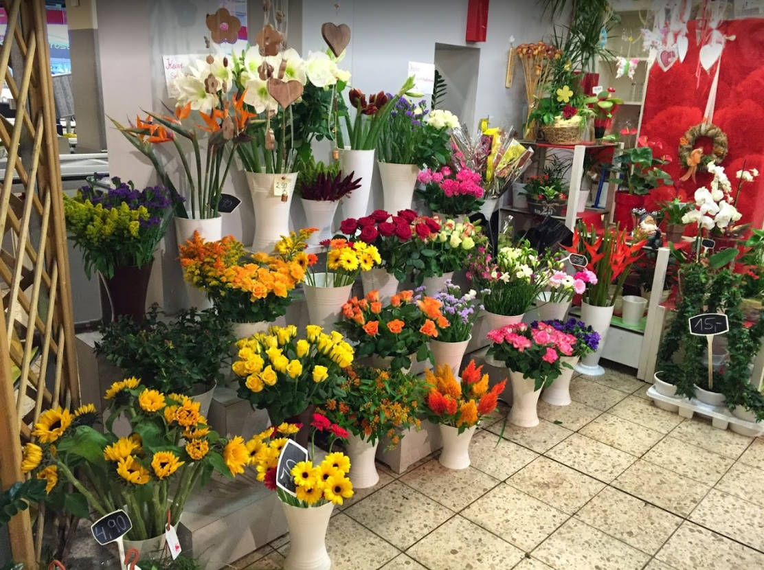 Bild der Blumen Spangenberg Dinslaken