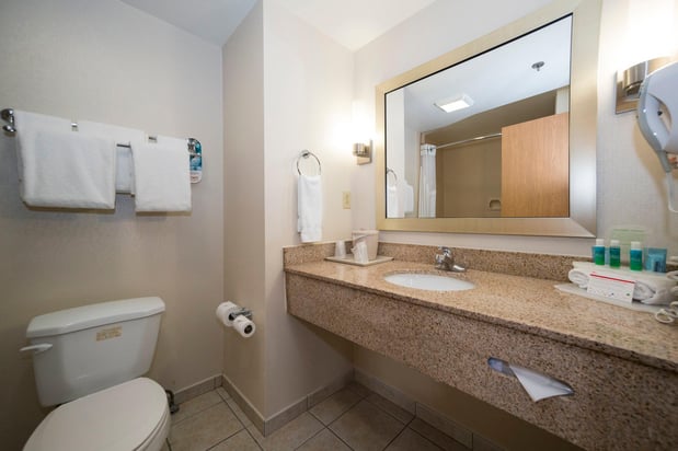 Images Holiday Inn Express & Suites Vicksburg by IHG
