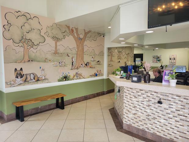 Images Pico Rivera Animal Hospital