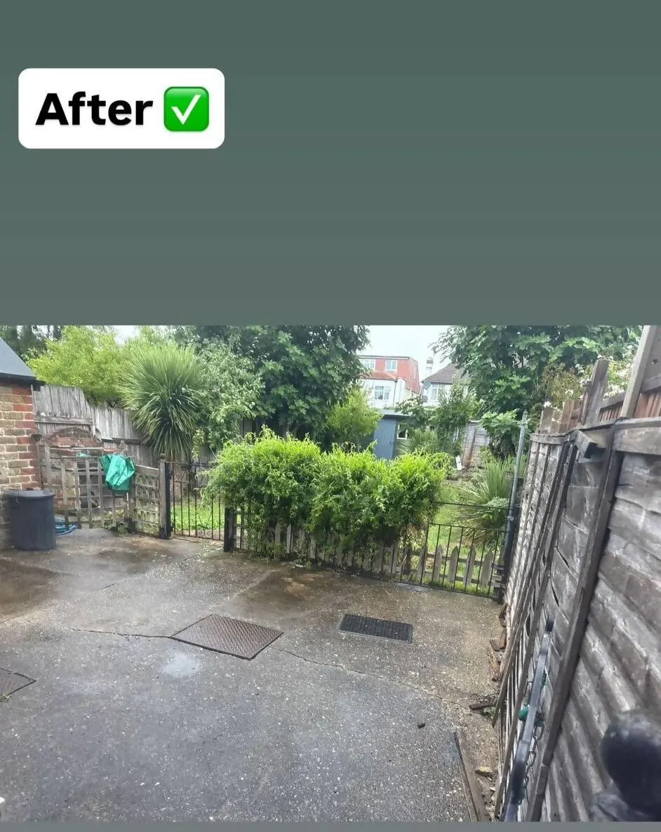 Images Bincredible Waste Solutions Ltd