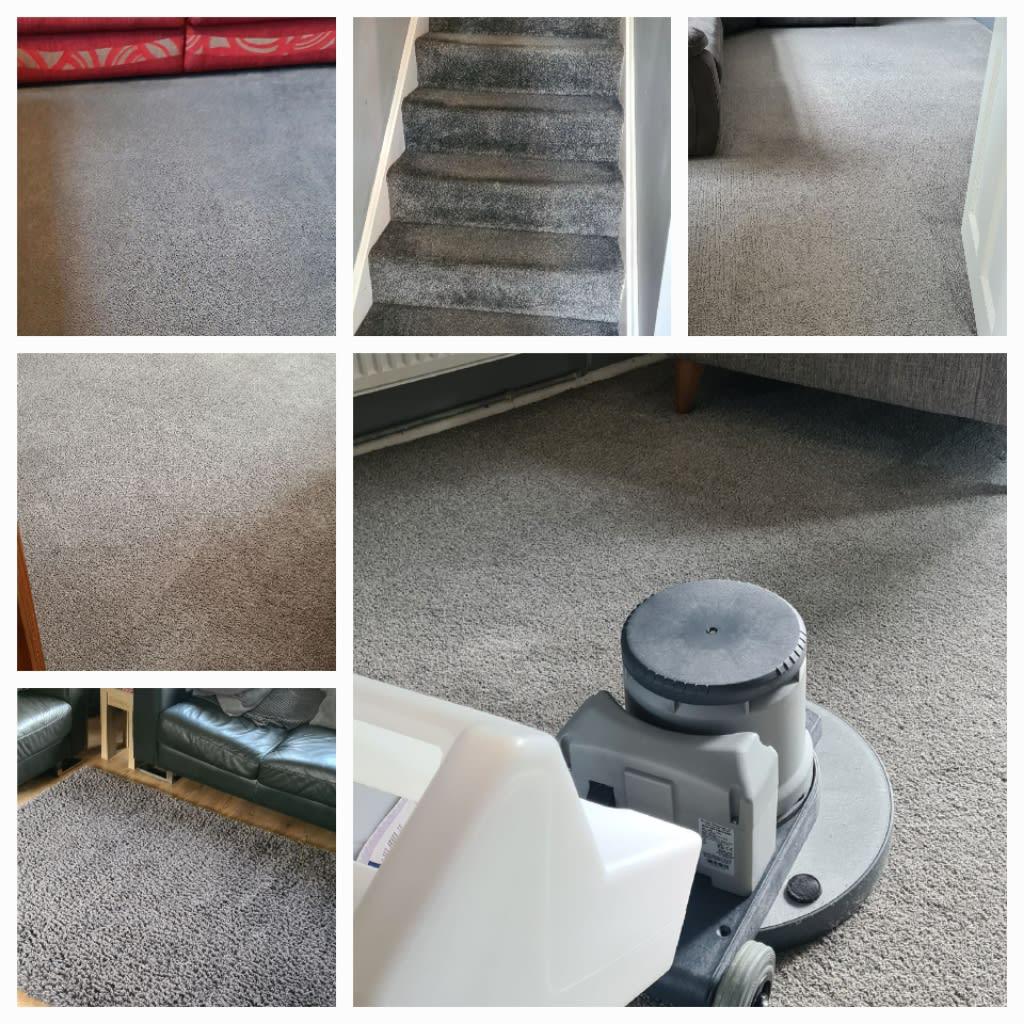Images Carpet Clean