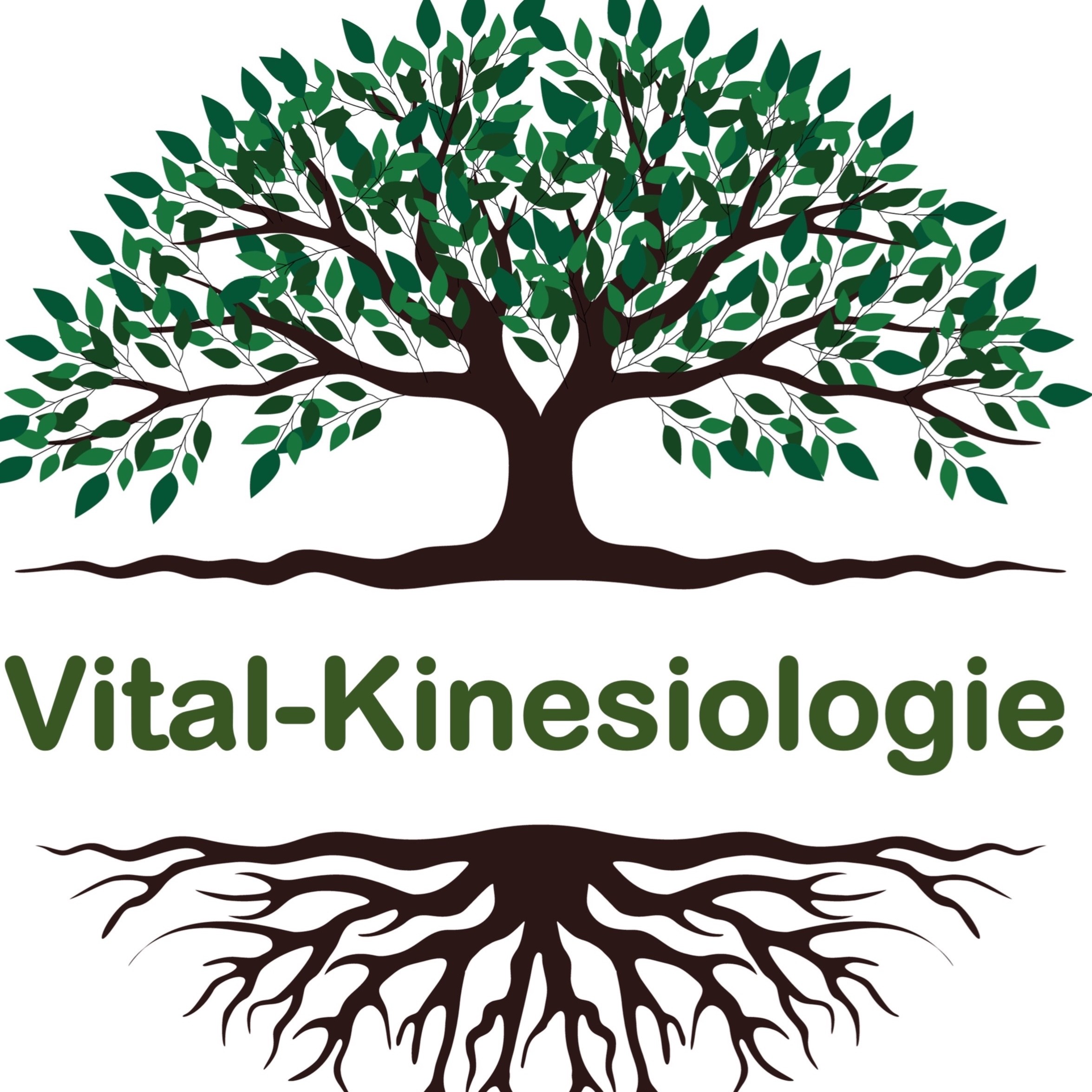 Vital-Kinesiologie Sabina Kaiser Logo