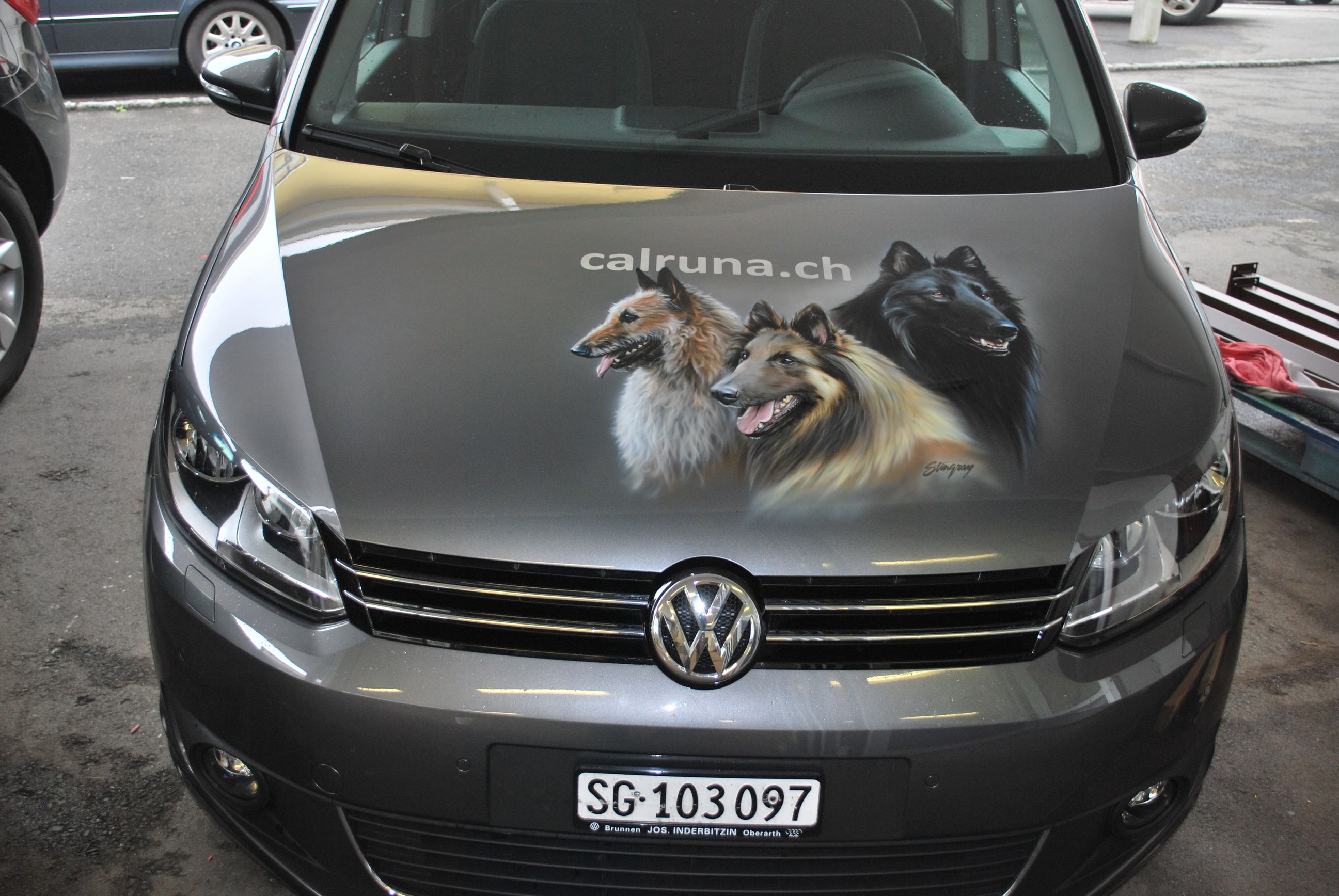 STINGRAY Marcel Gerber, Rüeggisingerstrasse 152 in Emmen