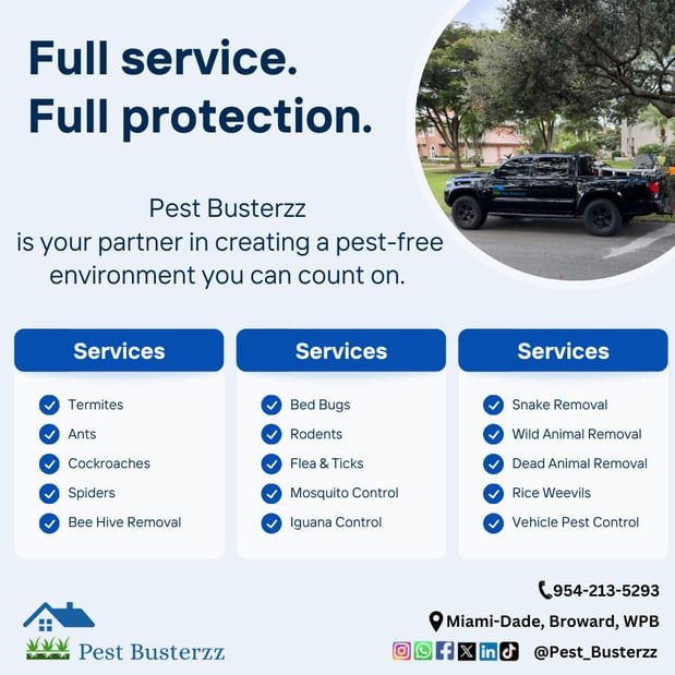 Images Pest Busterzz