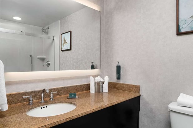 Images DoubleTree by Hilton Hotel Hartford - Bradley Airport