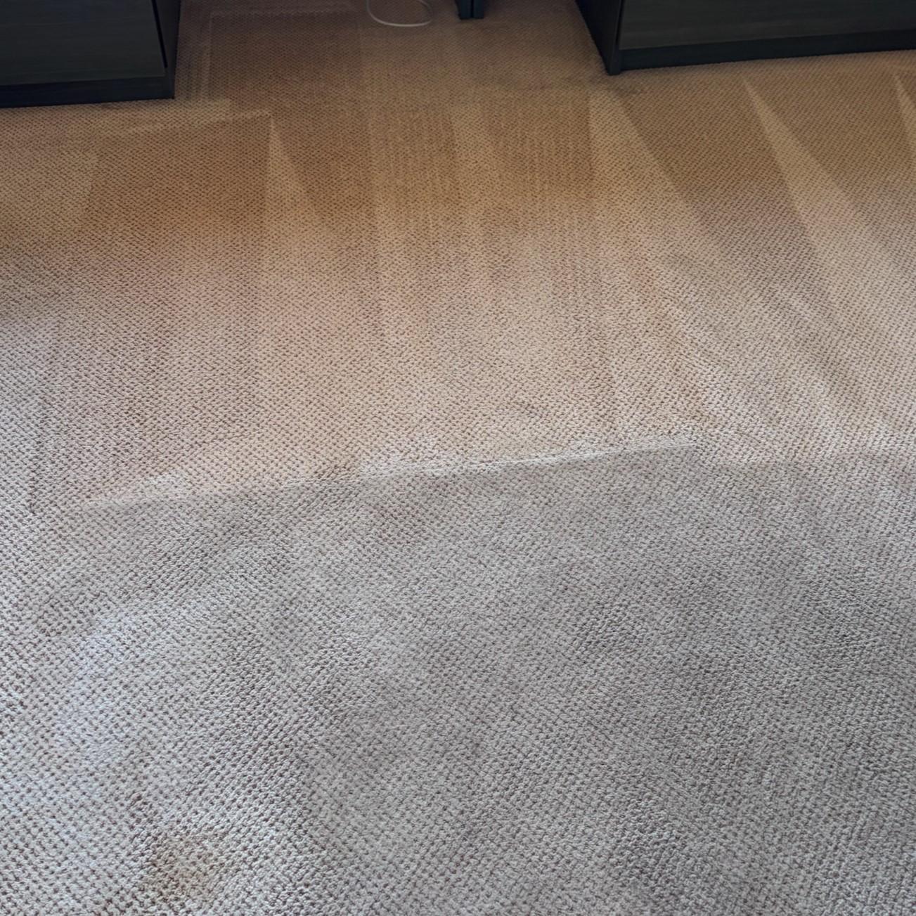 Carpet cleaner services in Fountain Hills, Arizona