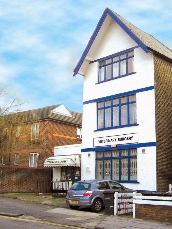 Images Streatham Hill Veterinary Surgery