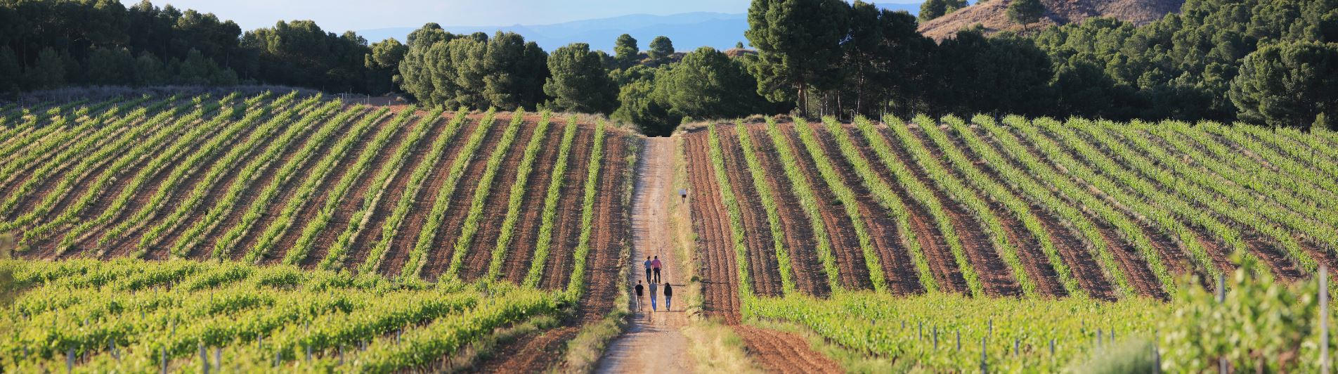 Images LaRioja BikeTours