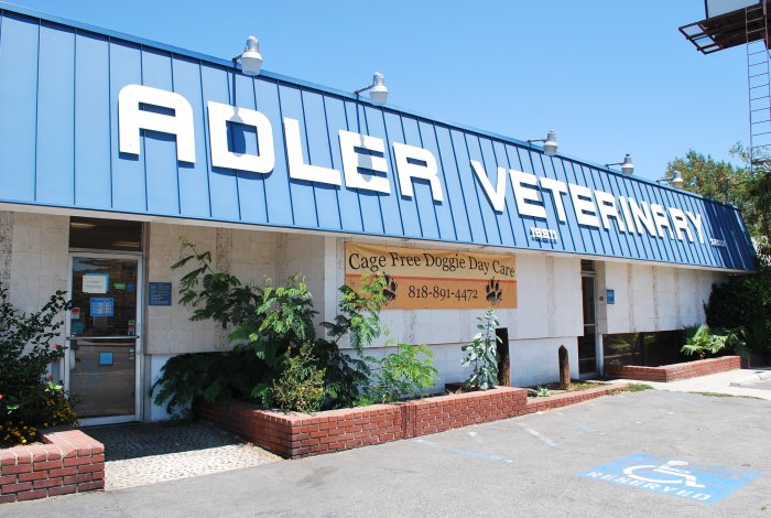 Image 8 | VCA Adler Animal Hospital and Pet Resort