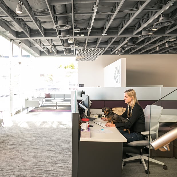 Images Sam & Ash Injury Law