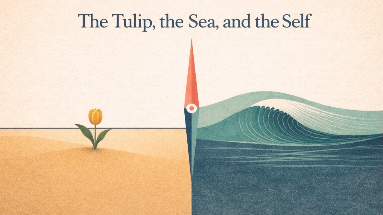 main blog image