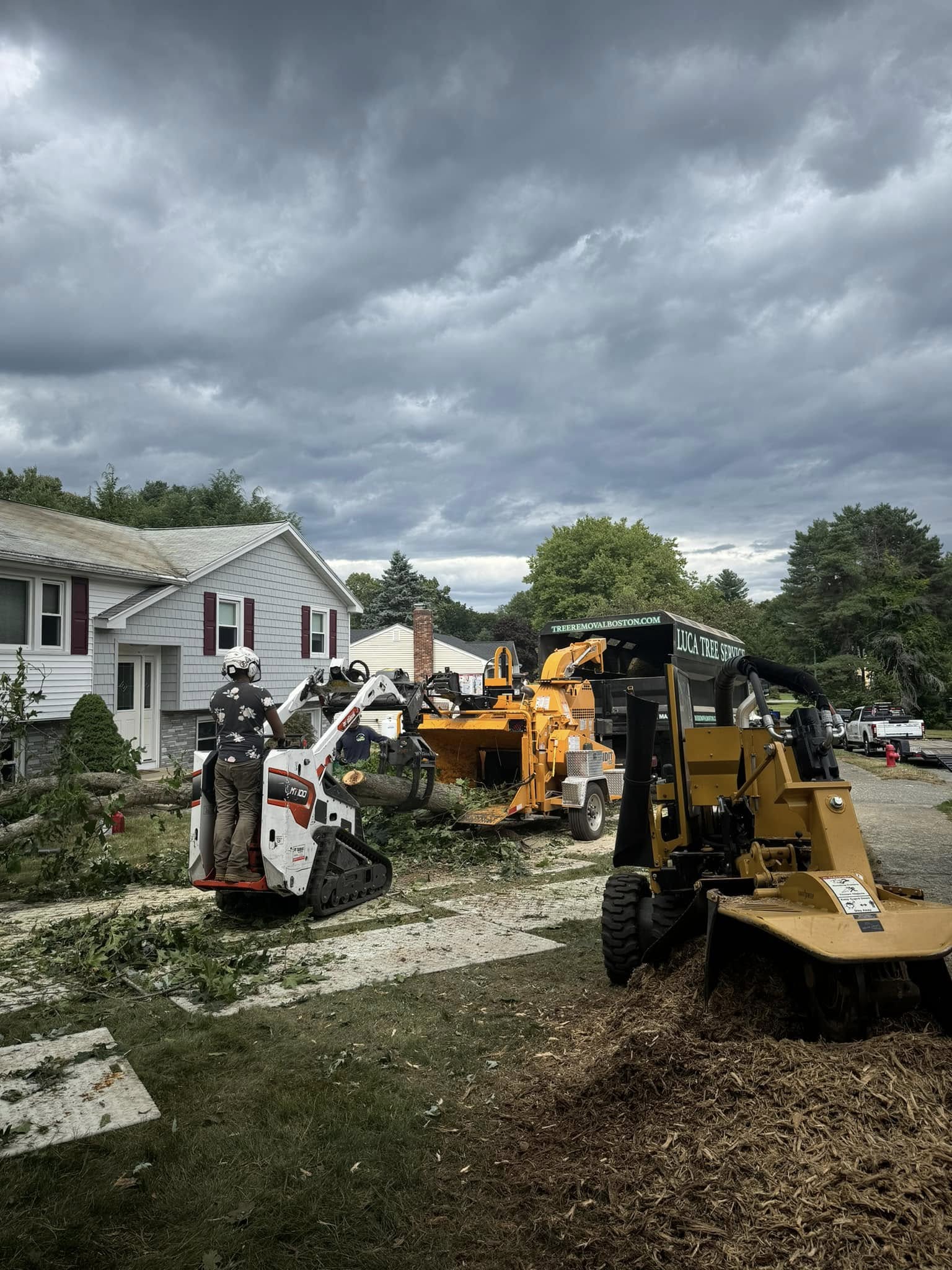 Luca Tree Service Image