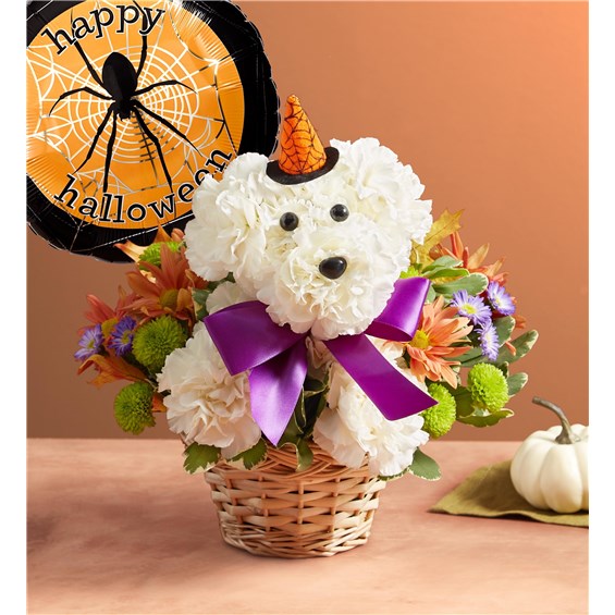 Our truly original a-DOG-able will cast its spell this Halloween! Crafted from fresh, white carnations, vibrant blooms all around, this canine creation comes complete with a witch’s hat, creating a frighteningly fun gift for Halloween parties or fall birthdays. Add our Happy Halloween Mylar balloon to really lift their spirits. One-sided 3D arrangement with white carnations, autumn-colored daisy poms, purple monte casino, green button poms; accented with assorted greenery and dried oak leaves Crafted in the shape of a dog, complete with eyes, nose, witch’s hat and purple ribbon Artistically designed in our lined wicker pet basket; measures 3.5"H x 5"D\Arrangement measures approximately 11"H x 11"W.