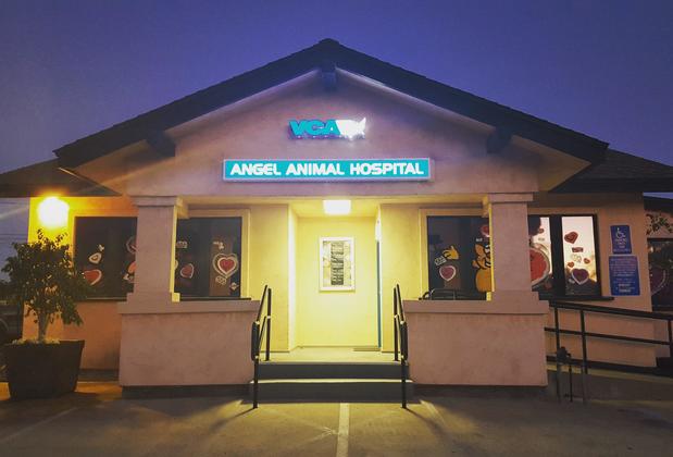 Images VCA Angel Animal Hospital - CLOSED
