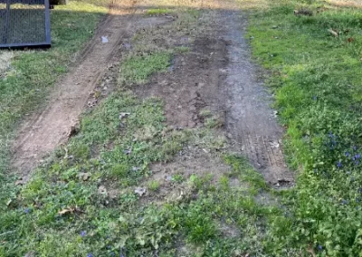 Beez Landscaping and Handyman Service Logo