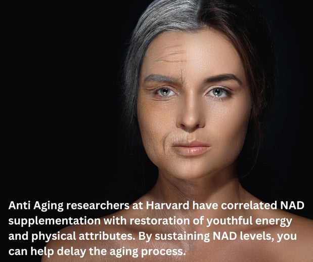 Images White Lotus Health and IV Wellness