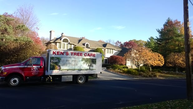 Images Ken's Tree & Stump Removal