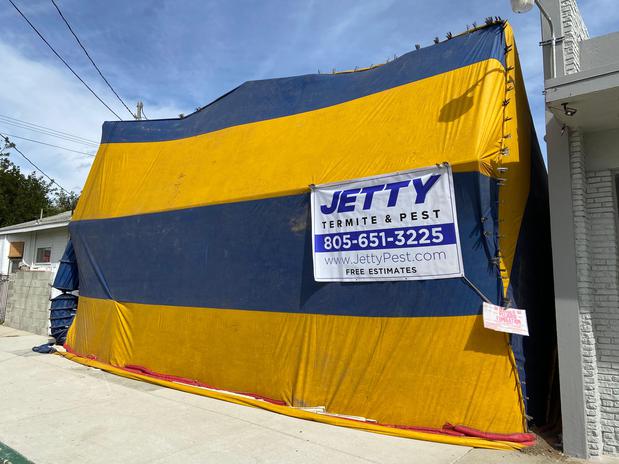 Images Jetty Termite & Pest Control