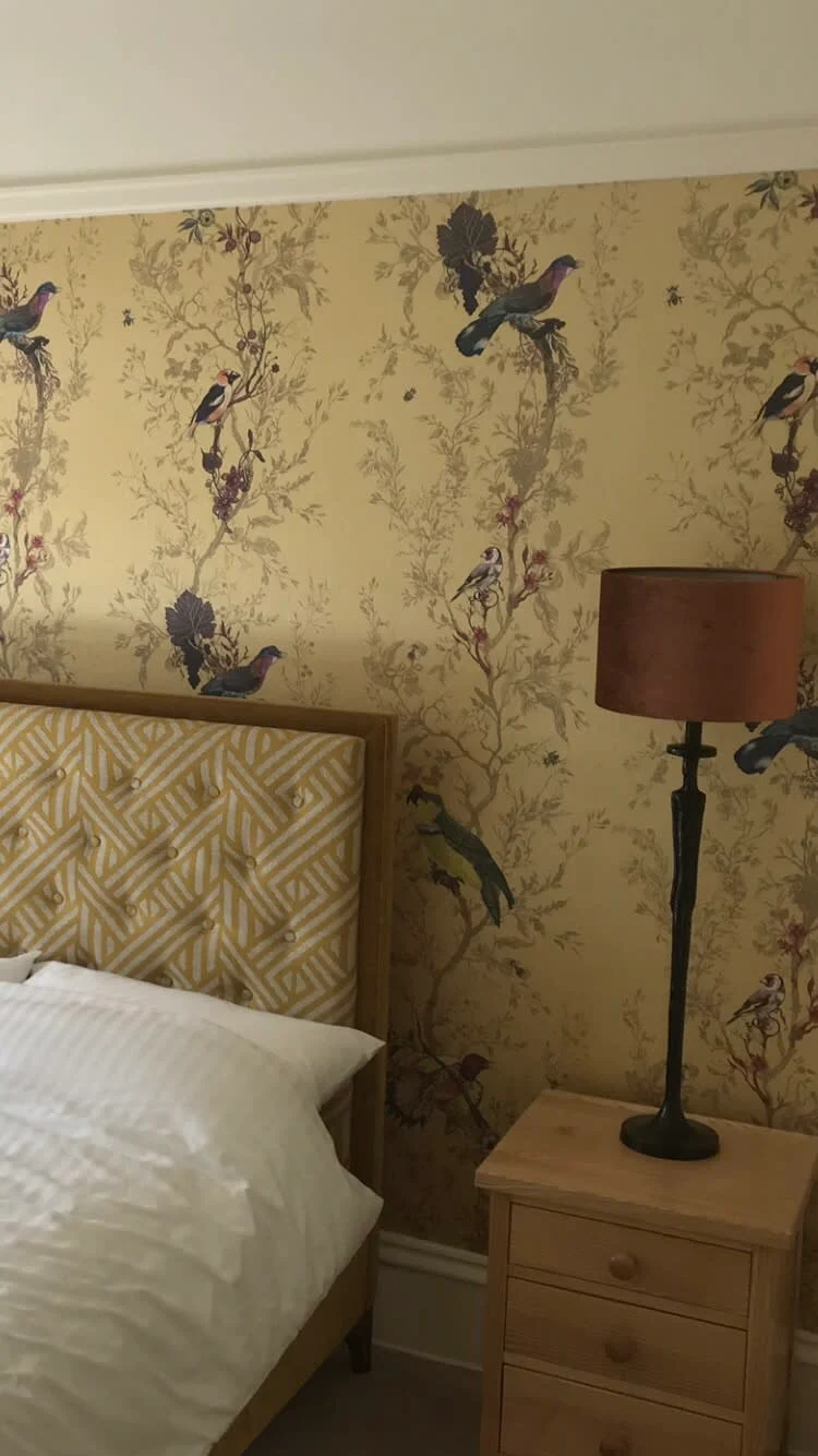 Images Broomhill Painters & Decorators