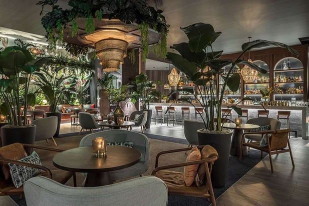 Images THesis Hotel Miami Coral Gables, Curio Collection by Hilton