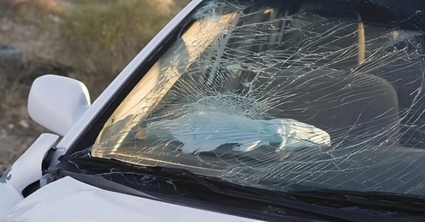 Images A-1 Discount Auto Glass