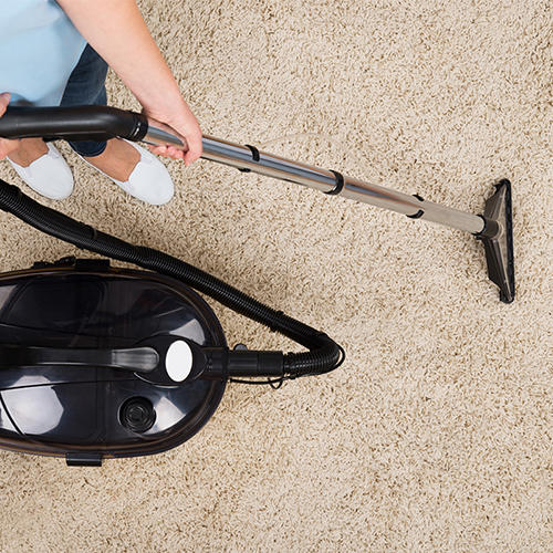 Images Leppo Carpet Cleaners Inc