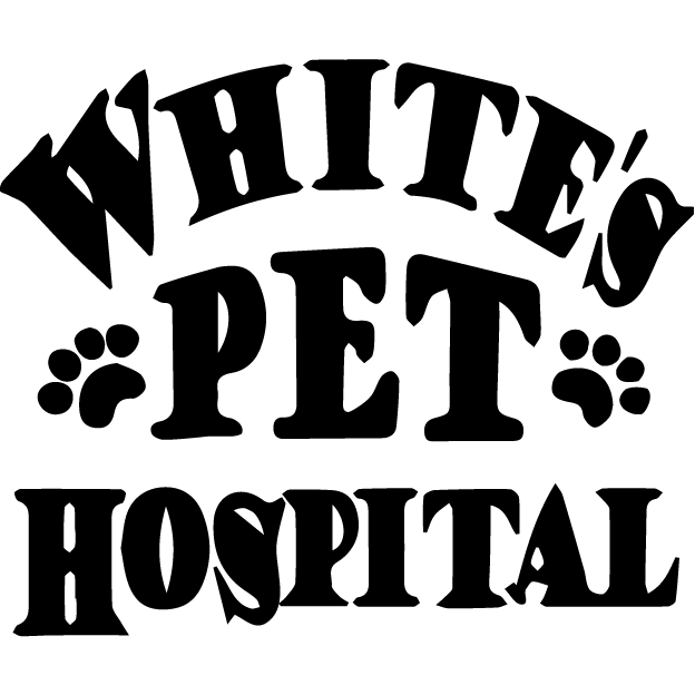 White's Pet Hospital - Santa Barbara, CA 93103 - (805)966-1604 | ShowMeLocal.com