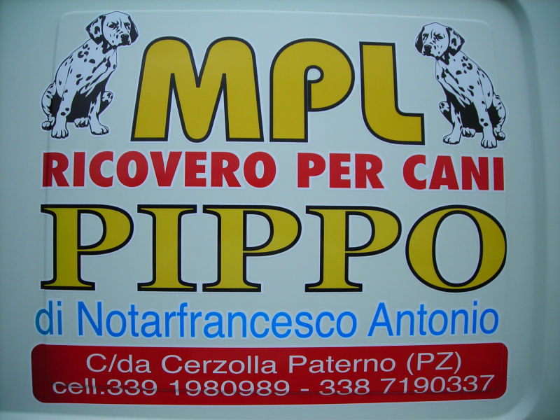 Images Mpl Ricovero per Cani Pippo