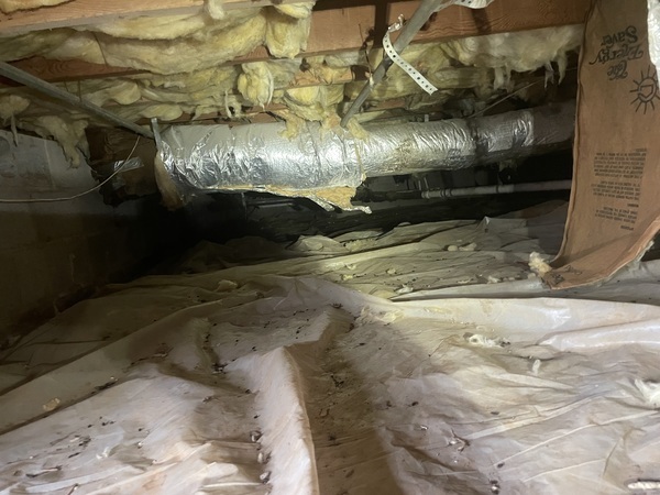 Images Ox Foundation Solutions