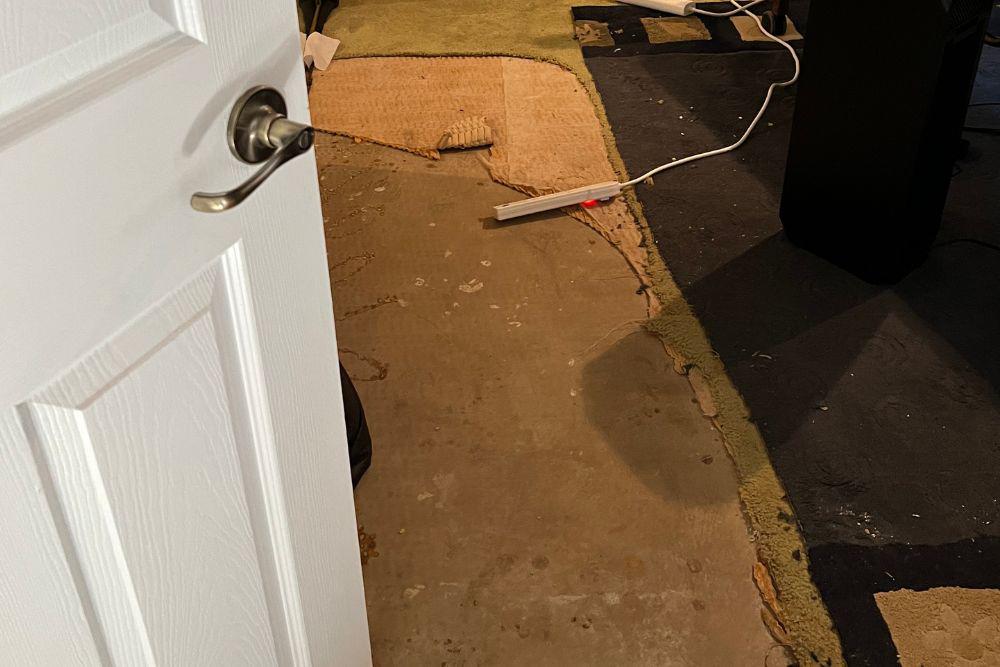 Pictured here we removed water-damaged carpet and pad from a Minneapolis home.