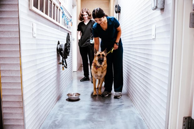 Images Imperial Animal Hospital