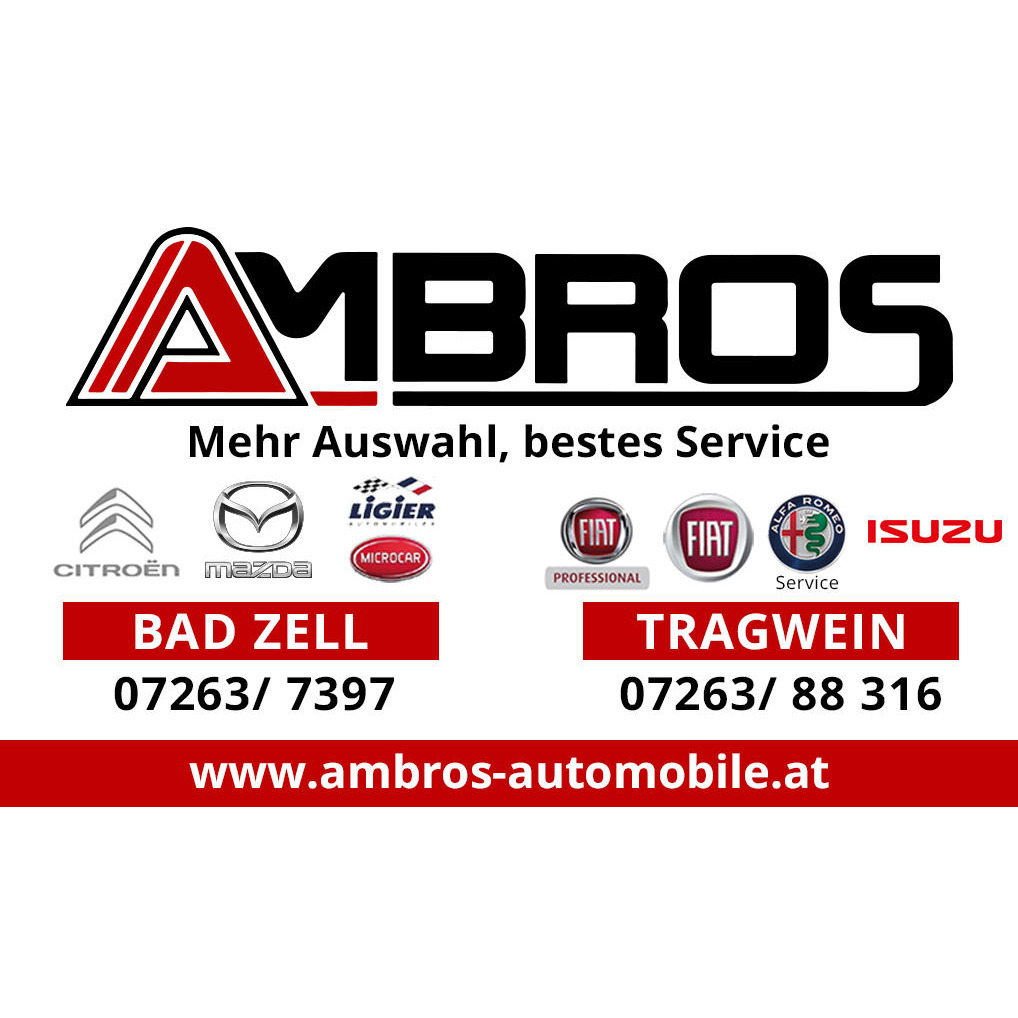 Logo von Ambros Automobile GmbH